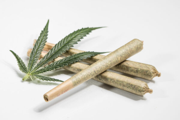 Connect Pre-Rolls (3 pack)